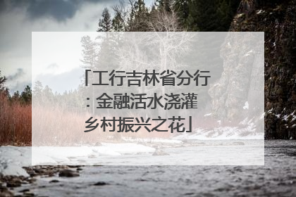 工行吉林省分行：金融活水浇灌 乡村振兴之花