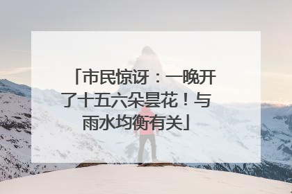 市民惊讶：一晚开了十五六朵昙花！与雨水均衡有关