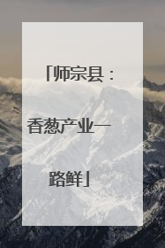 师宗县：香葱产业一路鲜