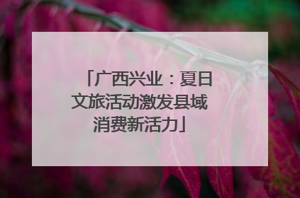 广西兴业：夏日文旅活动激发县域消费新活力
