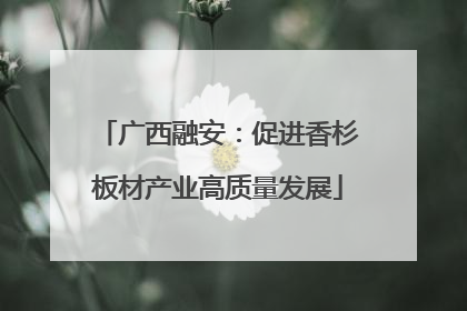 广西融安：促进香杉板材产业高质量发展
