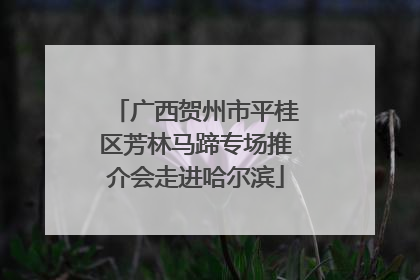 广西贺州市平桂区芳林马蹄专场推介会走进哈尔滨