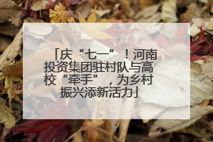 庆“七一”！河南投资集团驻村队与高校“牵手”，为乡村振兴添新活力