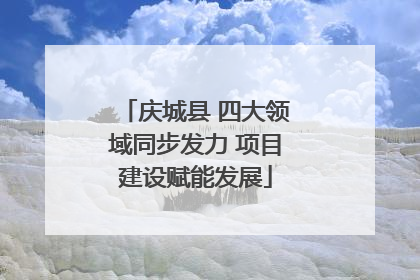 庆城县 四大领域同步发力 项目建设赋能发展