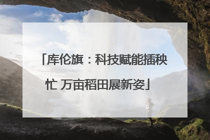 库伦旗：科技赋能插秧忙 万亩稻田展新姿