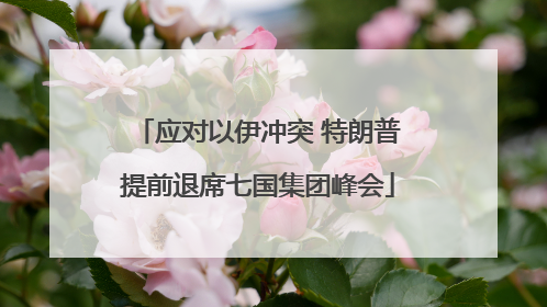 应对以伊冲突 特朗普提前退席七国集团峰会