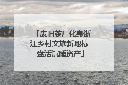 废旧茶厂化身浙江乡村文旅新地标 盘活沉睡资产