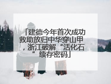 建德今年首次成功救助放归中华穿山甲，浙江破解“活化石”续存密码