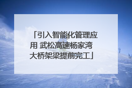 引入智能化管理应用 武松高速杨家湾大桥架梁提前完工