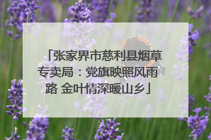 张家界市慈利县烟草专卖局：党旗映照风雨路 金叶情深暖山乡