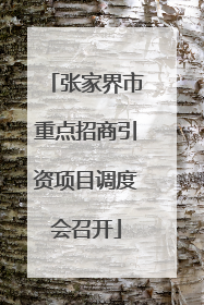 张家界市重点招商引资项目调度会召开