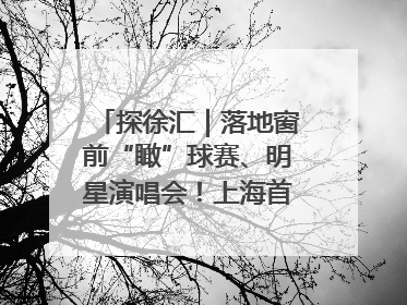 探徐汇｜落地窗前“瞰”球赛、明星演唱会！上海首家体育特色高端酒店亮相