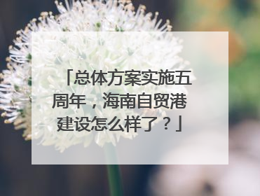 总体方案实施五周年，海南自贸港建设怎么样了？