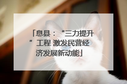 息县：“三力提升”工程 激发民营经济发展新动能