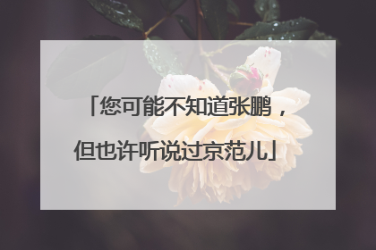 您可能不知道张鹏，但也许听说过京范儿