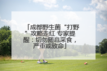 成都野生菌“打野”攻略走红 专家提醒：切勿随意采食，严重或致命