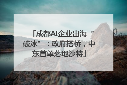 成都AI企业出海“破冰”：政府搭桥，中东首单落地沙特