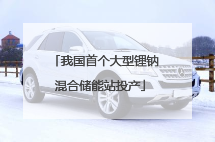 我国首个大型锂钠混合储能站投产