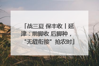 战三夏 保丰收丨延津：前脚收 后脚种，“无缝衔接”抢农时