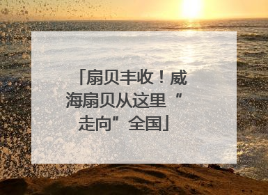 扇贝丰收！威海扇贝从这里“走向”全国