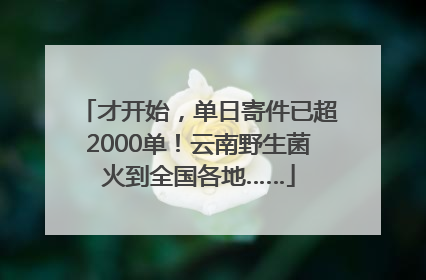 才开始，单日寄件已超2000单！云南野生菌火到全国各地……