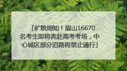 扩散周知！眉山16670名考生即将奔赴高考考场，中心城区部分道路将禁止通行