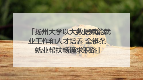 扬州大学以大数据赋能就业工作和人才培养 全链条就业帮扶畅通求职路