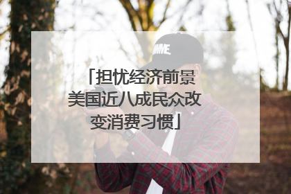 担忧经济前景 美国近八成民众改变消费习惯