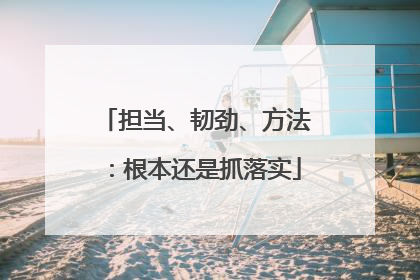 担当、韧劲、方法：根本还是抓落实