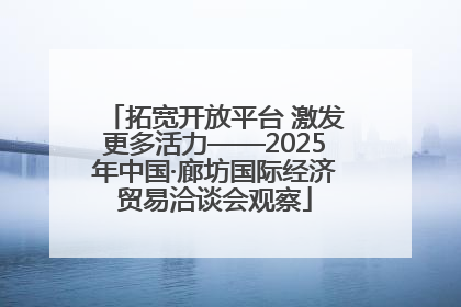 拓宽开放平台 激发更多活力——2025年中国·廊坊国际经济贸易洽谈会观察