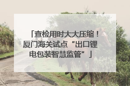 查检用时大大压缩！厦门海关试点“出口锂电包装智慧监管”