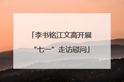 李书铭江文高开展“七一”走访慰问