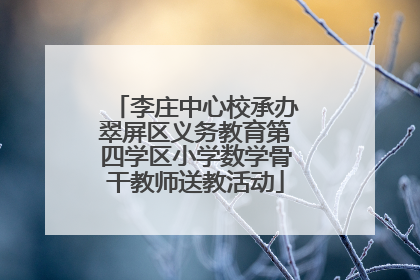 李庄中心校承办翠屏区义务教育第四学区小学数学骨干教师送教活动