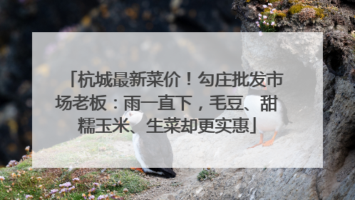 杭城最新菜价！勾庄批发市场老板：雨一直下，毛豆、甜糯玉米、生菜却更实惠
