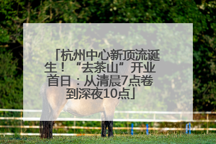 杭州中心新顶流诞生！“去茶山”开业首日：从清晨7点卷到深夜10点