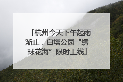 杭州今天下午起雨渐止，白塔公园“绣球花海”限时上线