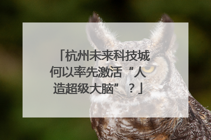 杭州未来科技城何以率先激活“人造超级大脑”？