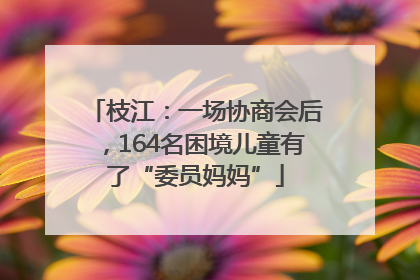 枝江：一场协商会后，164名困境儿童有了“委员妈妈”