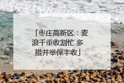 枣庄高新区：麦浪千重收割忙 多措并举保丰收