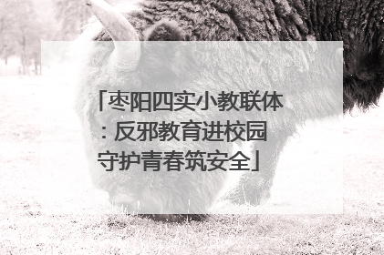 枣阳四实小教联体：反邪教育进校园 守护青春筑安全