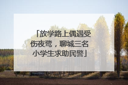 放学路上偶遇受伤夜鹭，聊城三名小学生求助民警