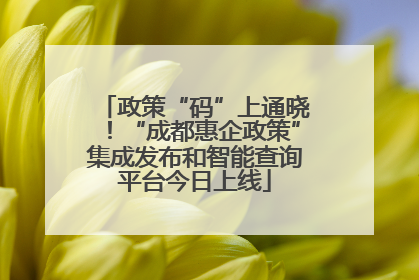 政策“码”上通晓！“成都惠企政策”集成发布和智能查询平台今日上线