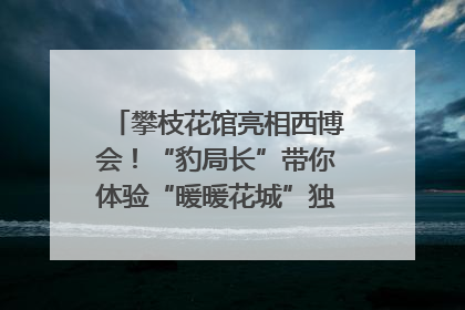 攀枝花馆亮相西博会！“豹局长”带你体验“暖暖花城”独特魅力｜西博视界