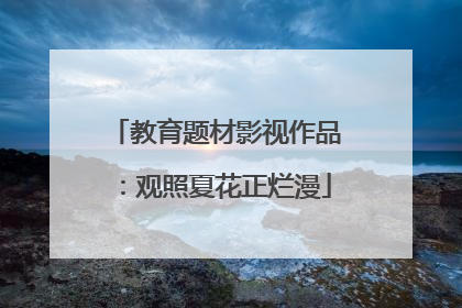 教育题材影视作品：观照夏花正烂漫