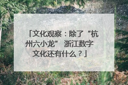文化观察：除了“杭州六小龙” 浙江数字文化还有什么？