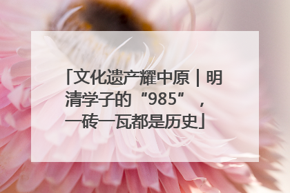 文化遗产耀中原｜明清学子的“985”，一砖一瓦都是历史