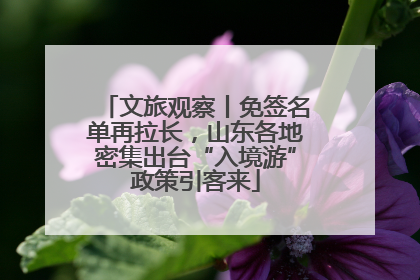 文旅观察丨免签名单再拉长，山东各地密集出台“入境游”政策引客来