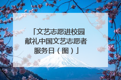 文艺志愿进校园 献礼中国文艺志愿者服务日（图）