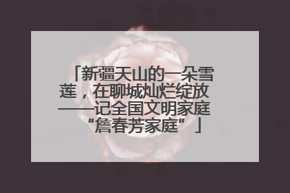 新疆天山的一朵雪莲，在聊城灿烂绽放——记全国文明家庭“詹春芳家庭”