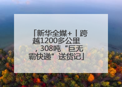新华全媒+丨跨越1200多公里，308吨“巨无霸快递”送货记